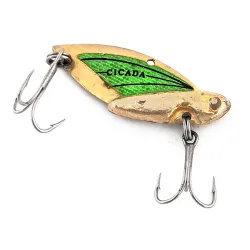 Reef Runner Cicada