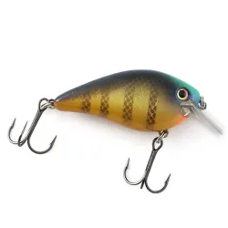 Strike King KVD 1.5 tyst squarebill