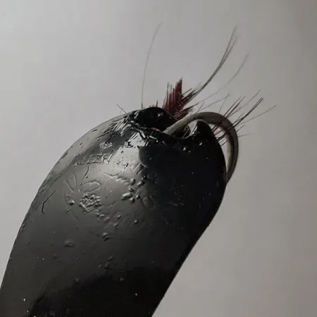 Weezel Rex, 12g Svart, Skeddrag #21779