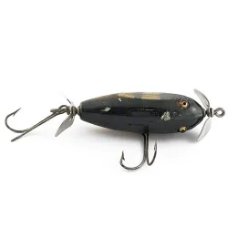 Creek Chub Injured Minnow med glasögon