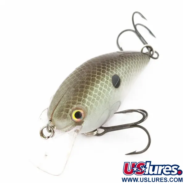 Strike King KVD 1.5 Silent Squarebill, Olive Sexy Shad, 12g, Crankbait #24028