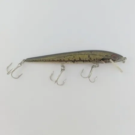 Rebel Floater F12, 9g, Naturalized Baby Bass, Flytande vobbler #24065
