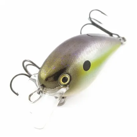 Strike King KVD 1.5 Silent Square Bill, Olive Sexy Shad, 12g, Crankbait #24145