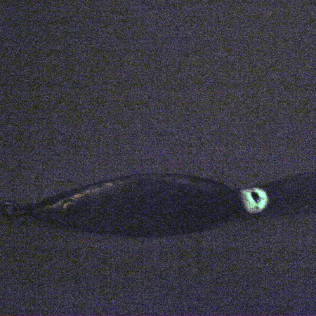 Weedless Fred Arbogast 3 Hawaiian Glow Skeddrag, 16g, Vasskydd, #3338