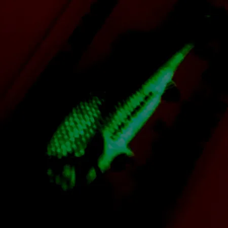 Northland Live Forage Glow Skeddrag, Regnbågsfisk, 7g, Mässing, #5140