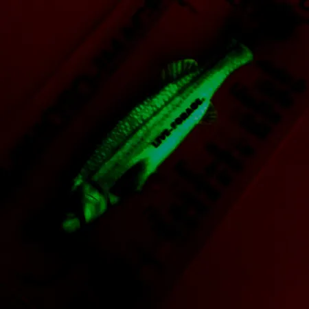 Northland Live Forage Glow Skeddrag, Realistic fish, 7g, Glow, #5164