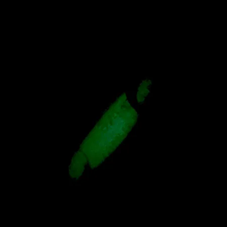 Luhr Jensen Crippled Herring Skeddrag, Vit/Grön UV Glow, 21g, #5921