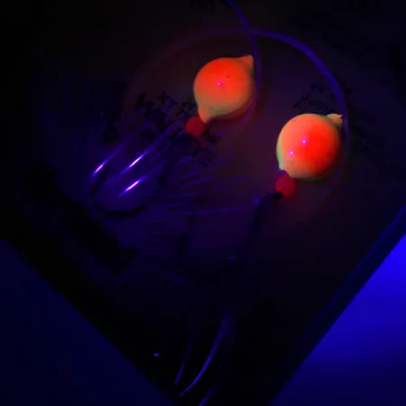 Northland Live Fishing Bait Roach Rig UV Rigg, Orange, UV, #5967