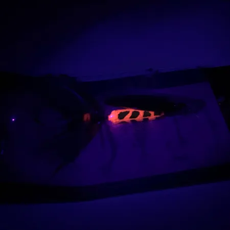 Yakima Bait Worden’s Original Rooster Tail Spinnare, Guld, 3,6g, #6598