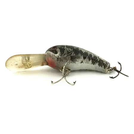 Cotton Cordell Big O Crankbait, Black/Silver/Gold, 10g, Flytande, #6944