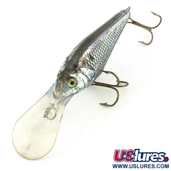 Berkley Frenzy Diver Wobbler, Rainbow Silver, 12g, #7350