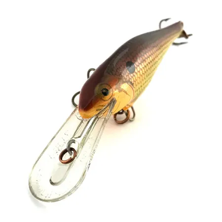 Rapala Shad Rap Deep Runner 07 Wobbler, Guld, 8g, Balsa, #9033