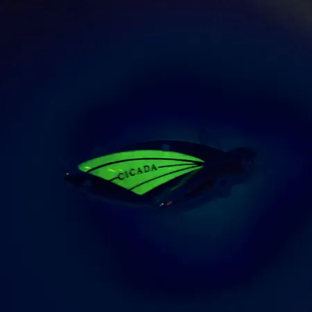 Reef Runner Cicada Blade Bait, Nickel / Grön, 14g, Självlysande, #9560